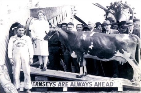 FirstCow